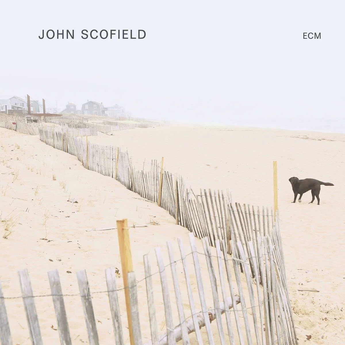 John Scofield - Image 2