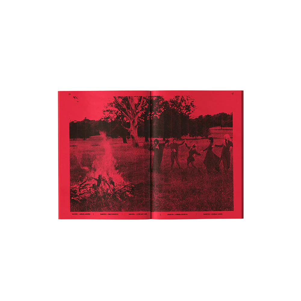 From The Pyre - Image 2